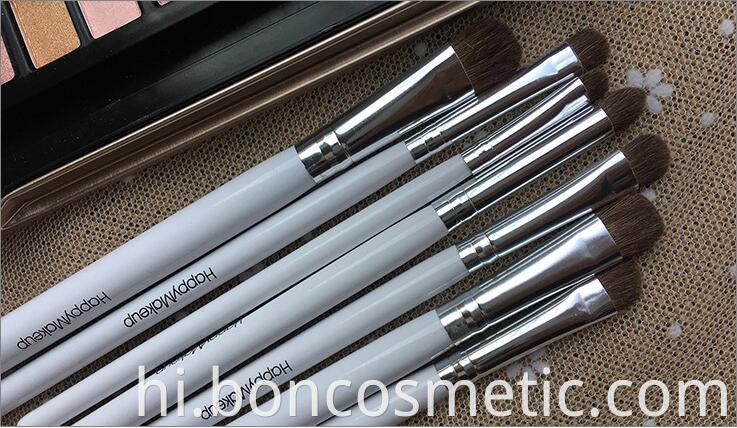 eye brushes set